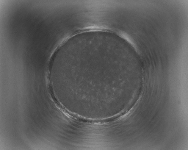 X0000070241357200606091324