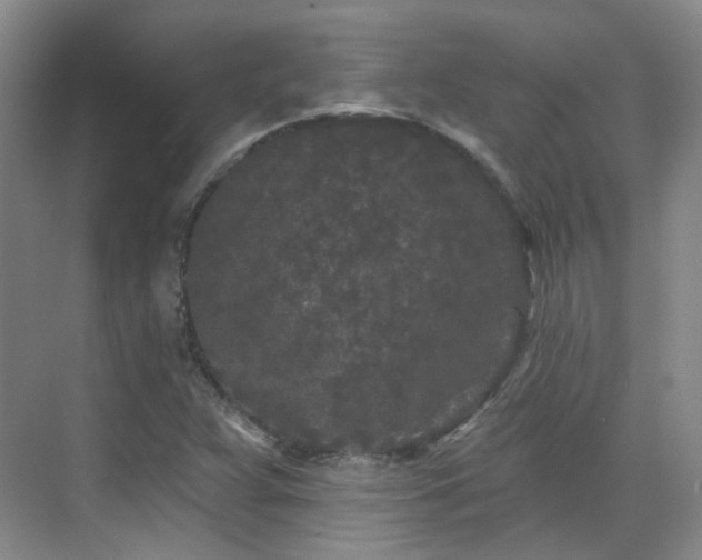 X0000070241359200606091324