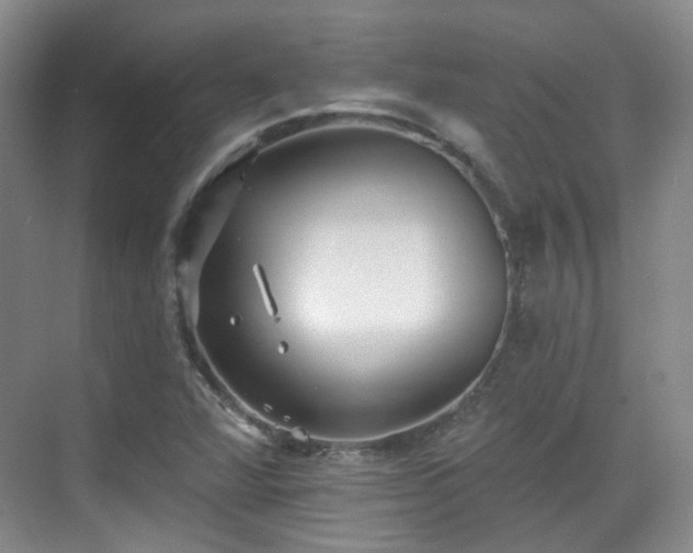 X0000070241360200606091324