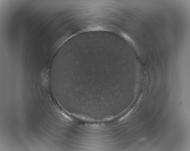 X0000070241361200606091324