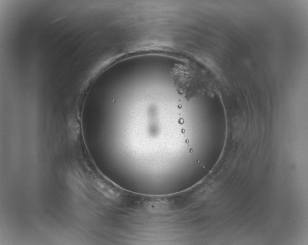 X0000070241363200606091324