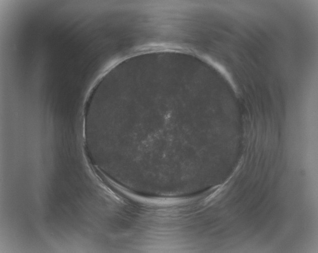 X0000070241365200606091324