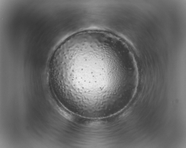 X0000070241367200606091324