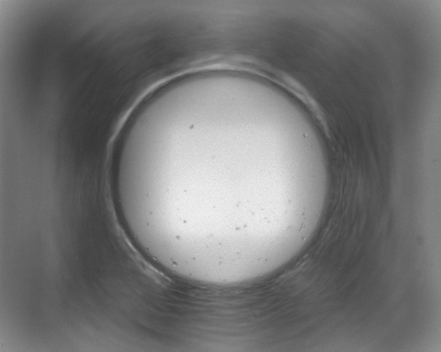 X0000070241368200606091324