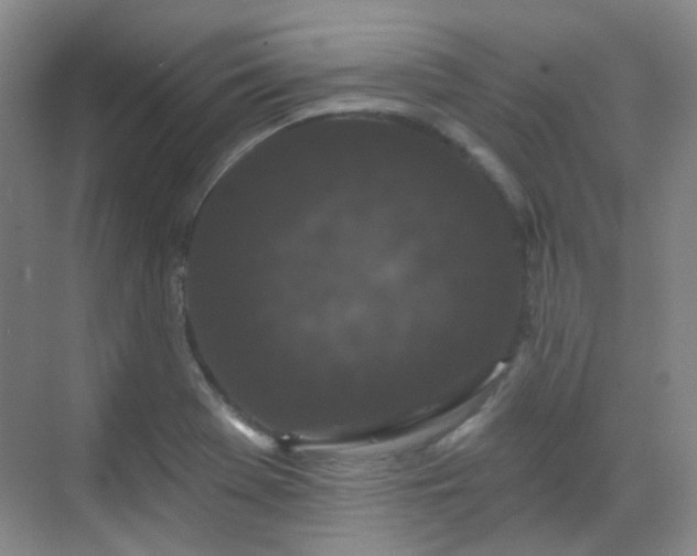 X0000070241369200606091324