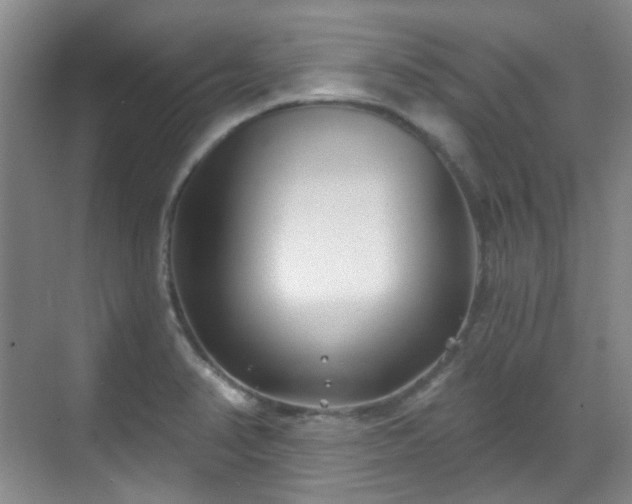 X0000070241374200606091324