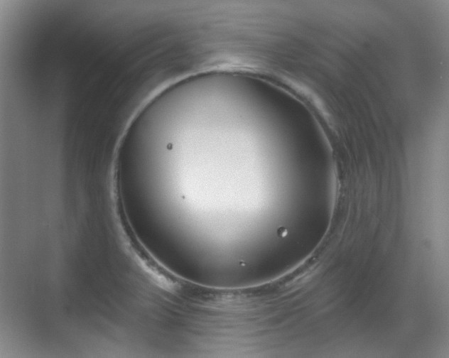 X0000070241375200606091324