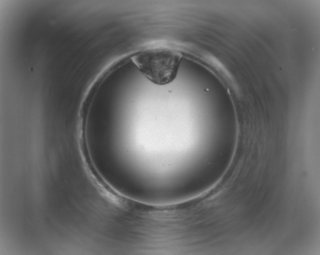 X0000070241376200606091324