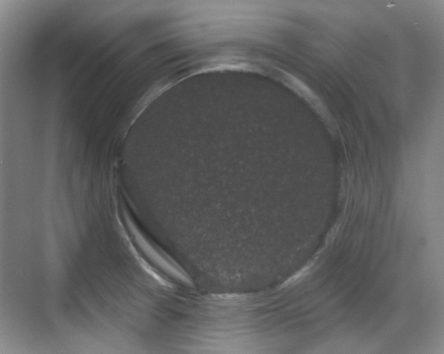 X0000070241377200606091323