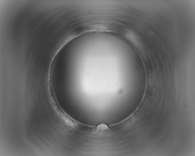 X0000070241378200606091323