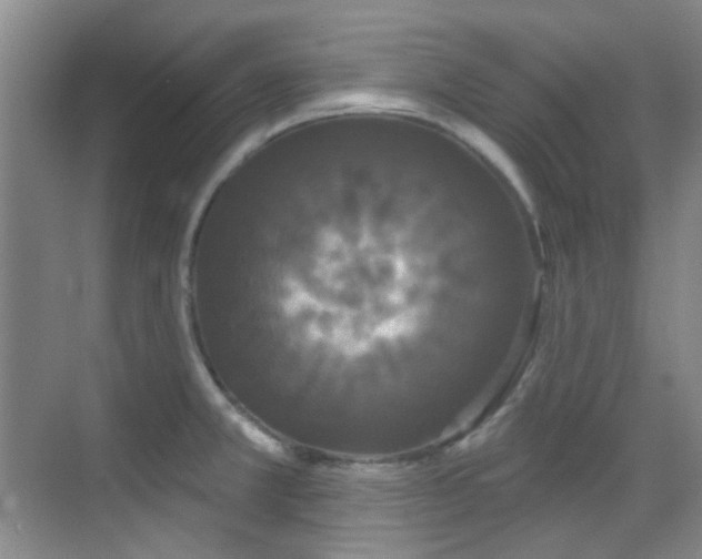 X0000070241381200606091323