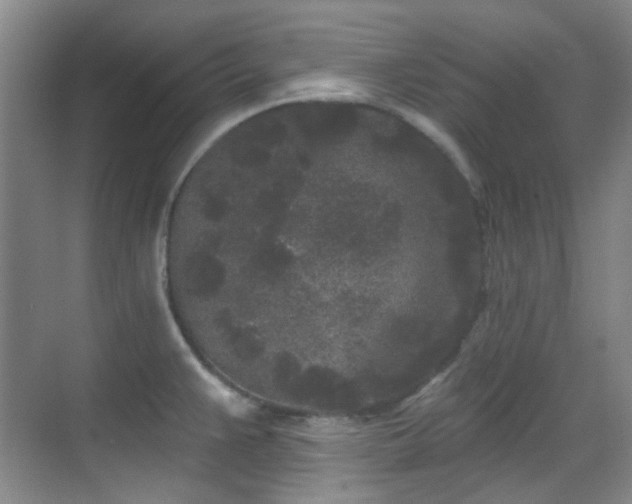 X0000070241383200606091323