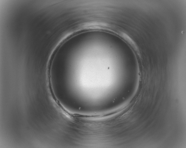 X0000070241384200606091323