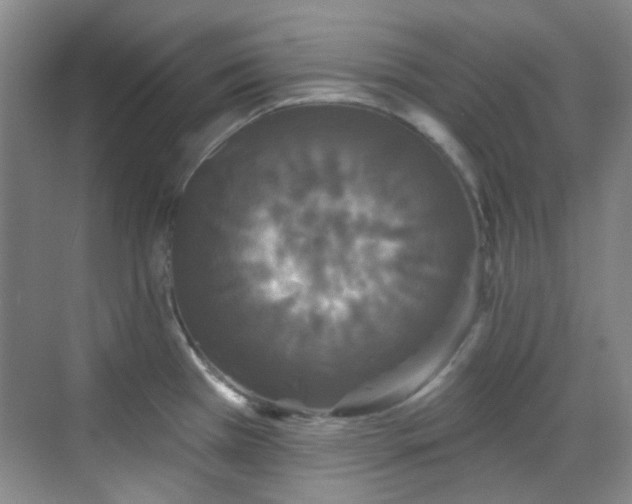 X0000070241385200606091323