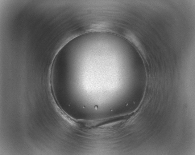 X0000070241386200606091323