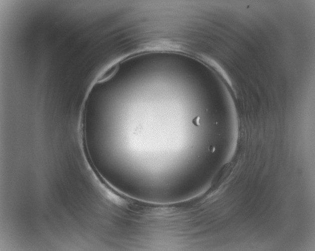 X0000070241387200606091323