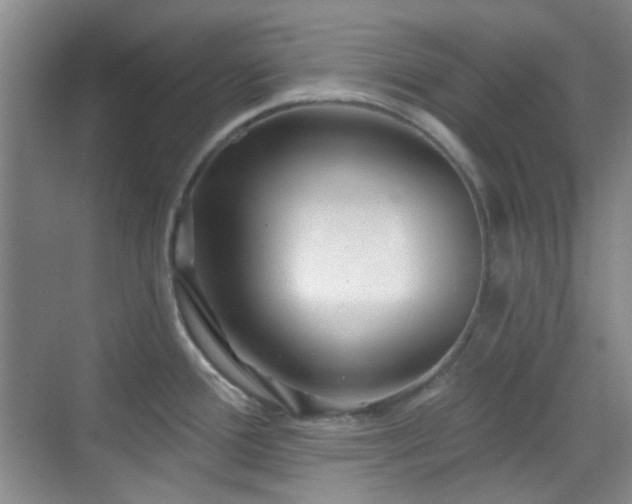 X0000070241388200606091323