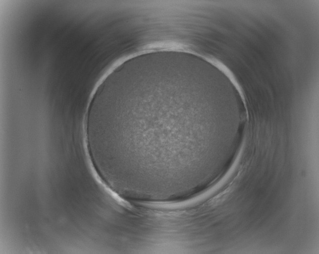 X0000070241389200606091323