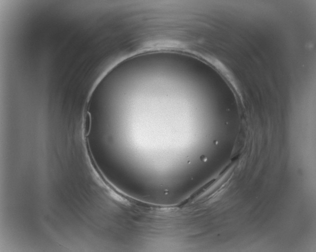 X0000070241390200606091323