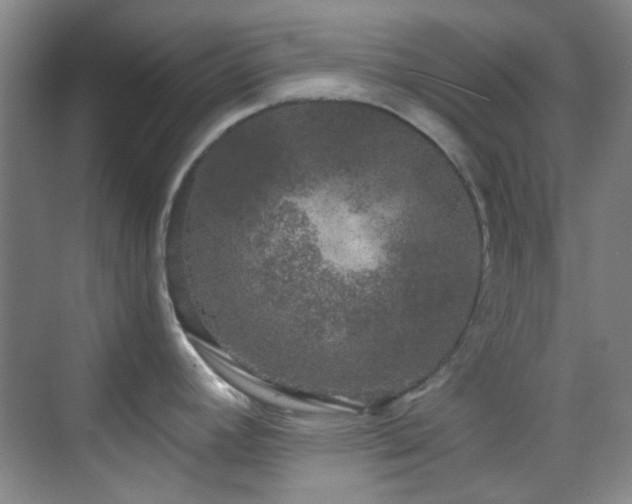 X0000070241392200606091323