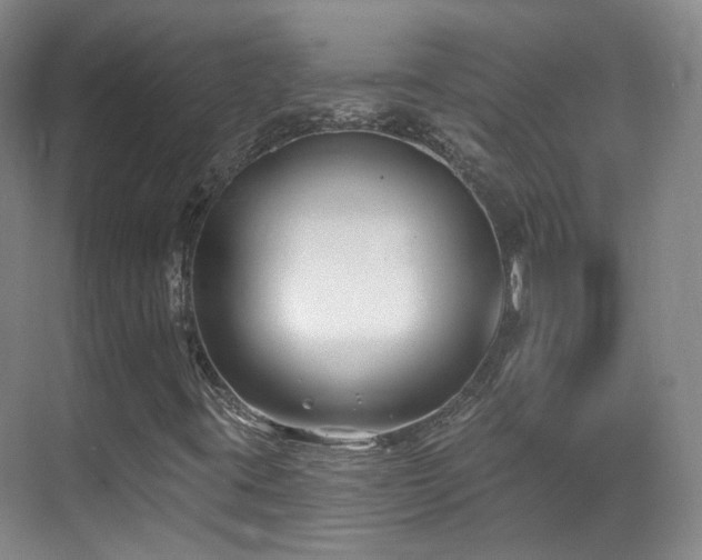 X0000070241395200606091322