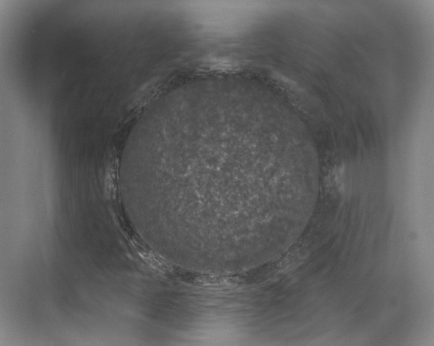 X0000070241397200606091323