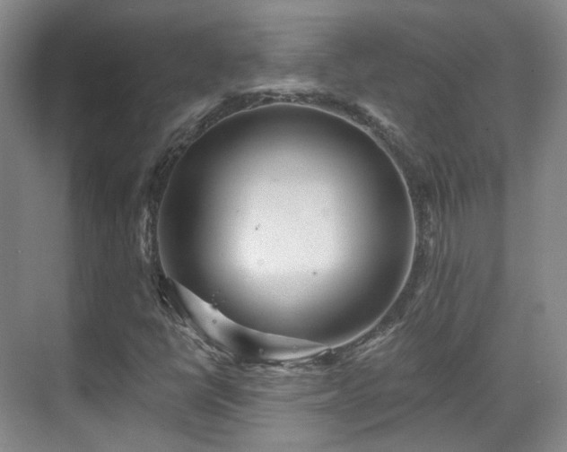 X0000070241398200606091323