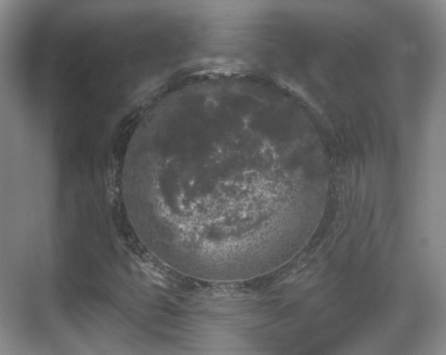 X0000070241399200606091323