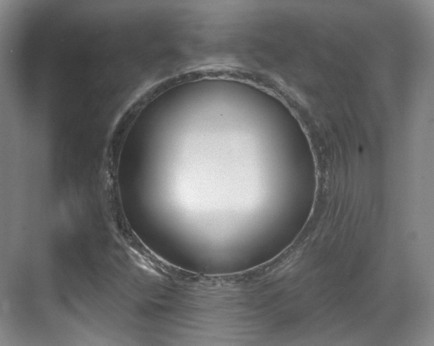 X0000070241400200606091323