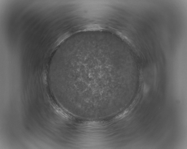 X0000070241401200606091323