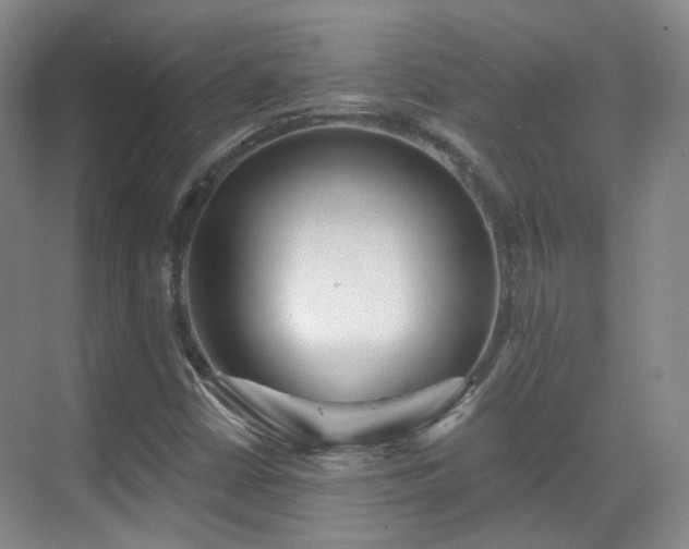 X0000070241402200606091323