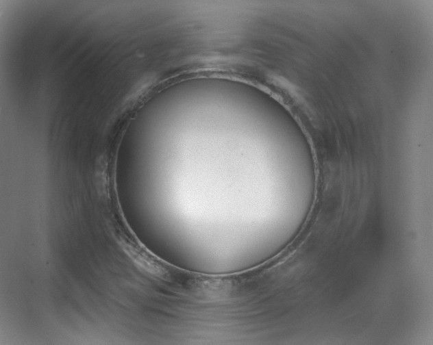 X0000070241403200606091323