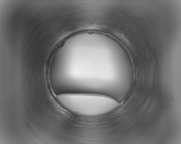 X0000070241404200606091323