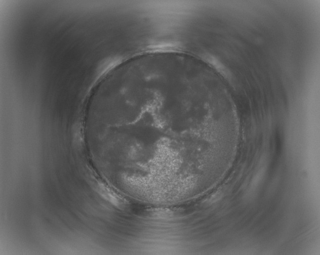 X0000070241405200606091323