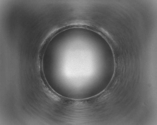 X0000070241408200606091323