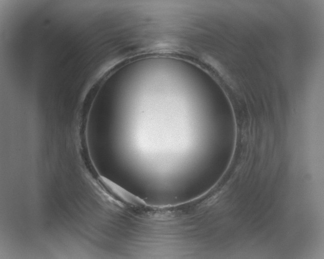 X0000070241410200606091323