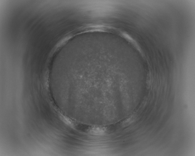 X0000070241411200606091323