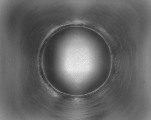 X0000070241412200606091323