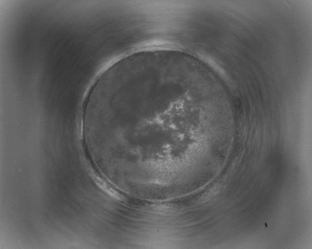 X0000070241413200606091323