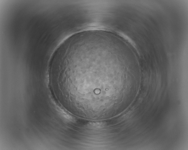 X0000070241415200606091323