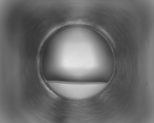 X0000070241416200606091323