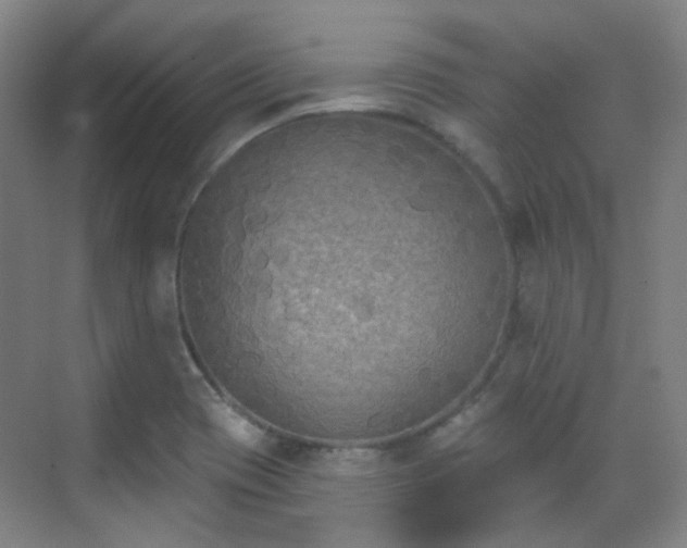 X0000070241417200606091323