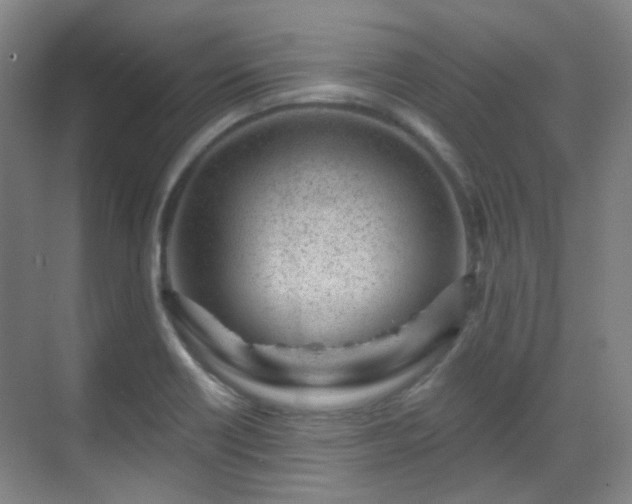 X0000070241418200606091323