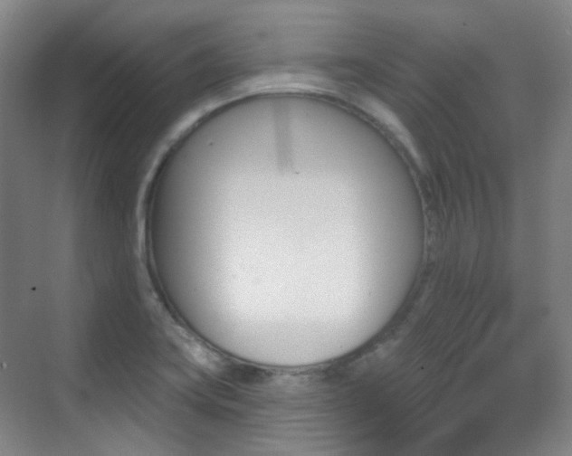 X0000070241419200606091323