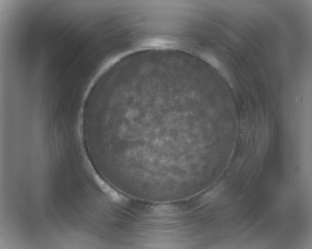 X0000070241421200606091323