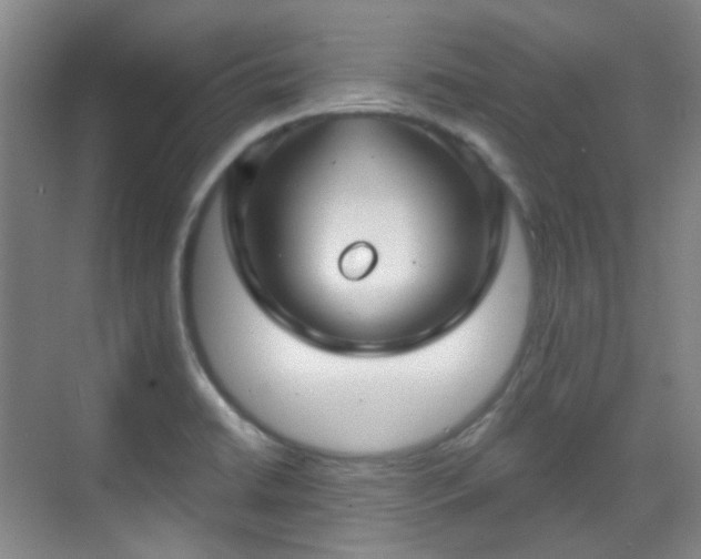 X0000070241422200606091323