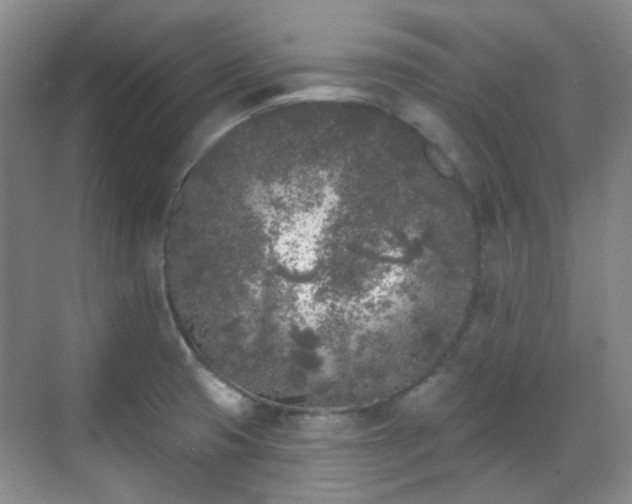 X0000070241425200606091323