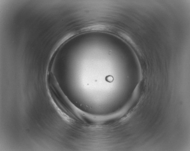 X0000070241426200606091323