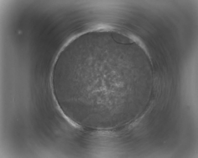 X0000070241429200606091323