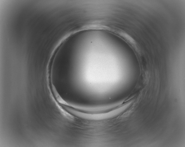 X0000070241430200606091323